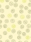 lime_04