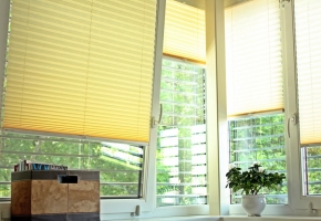 Pleated blinds