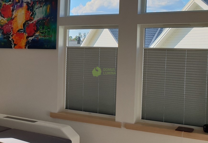 Pleated Blinds Prestige Decorate Windows Of A House In Sweden