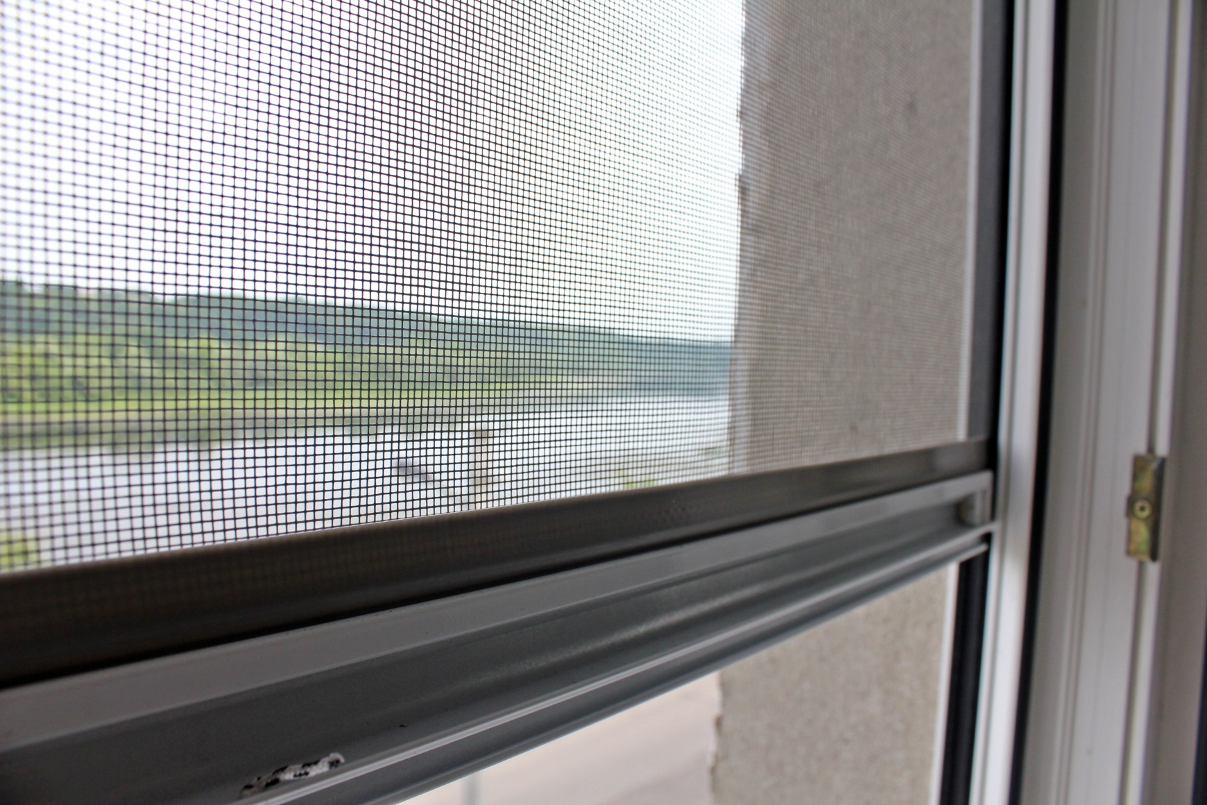 roletastinklelis.jpg (large, 1740x1160)