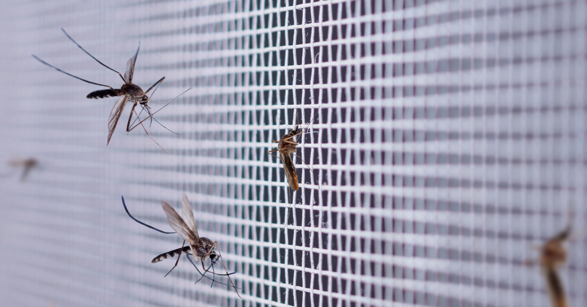 1200x628arti.png (large, 1200x628)