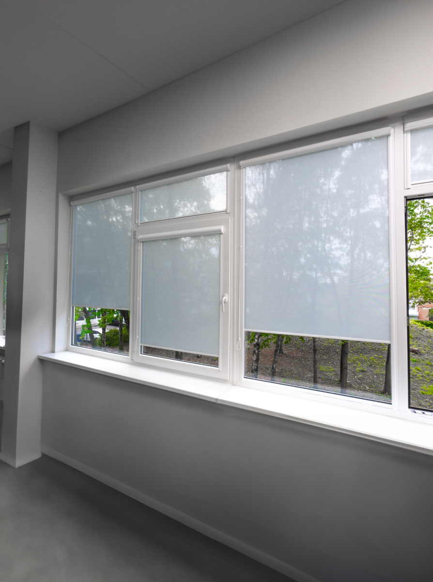 zaliuzes6.png (large, 894x1200)