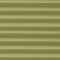 SCANDI OLIVE