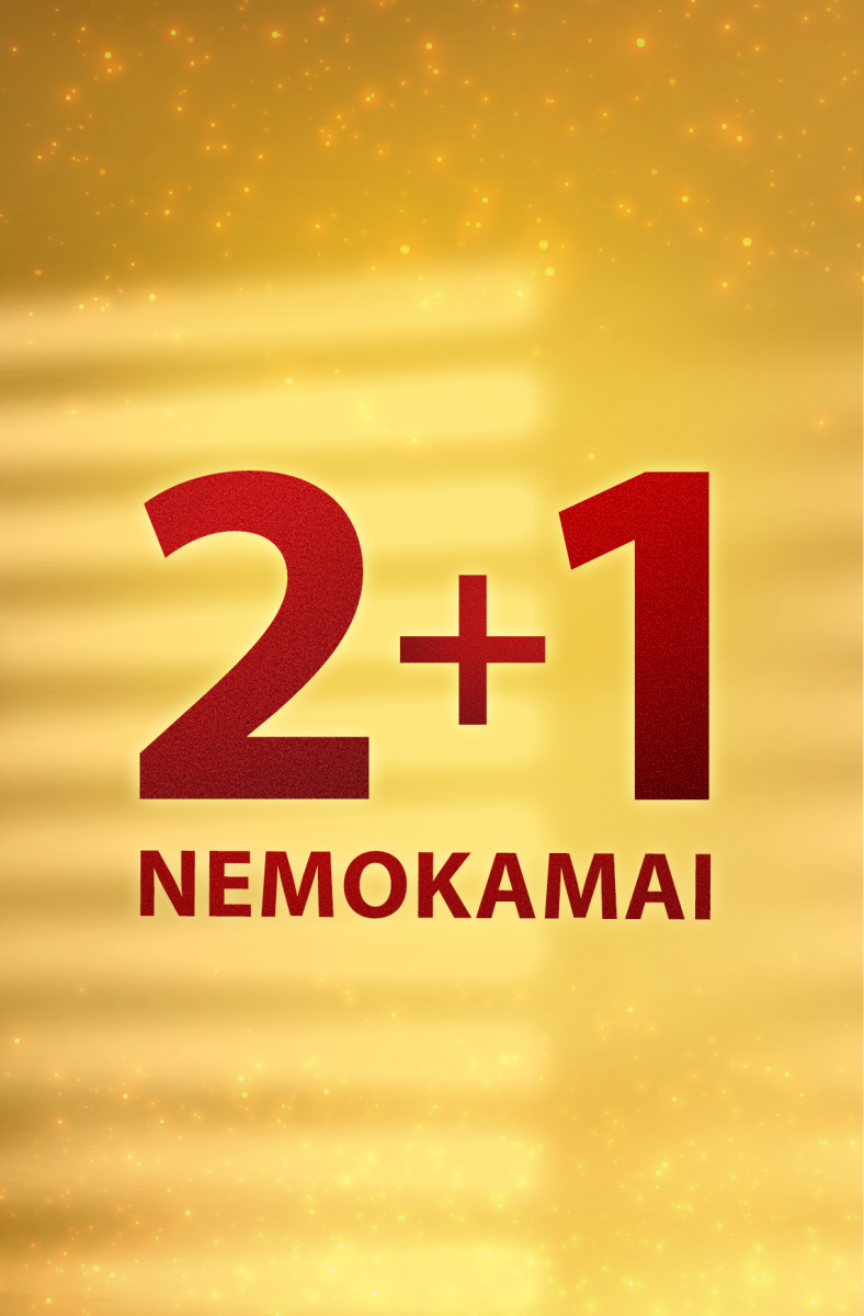 Medinės žaliuzės: 2+1 nemokamai