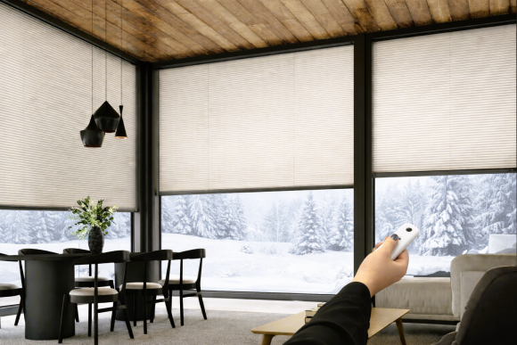 Elektrinių plisuotų žaliuzių variklis – dabar tik 11 €