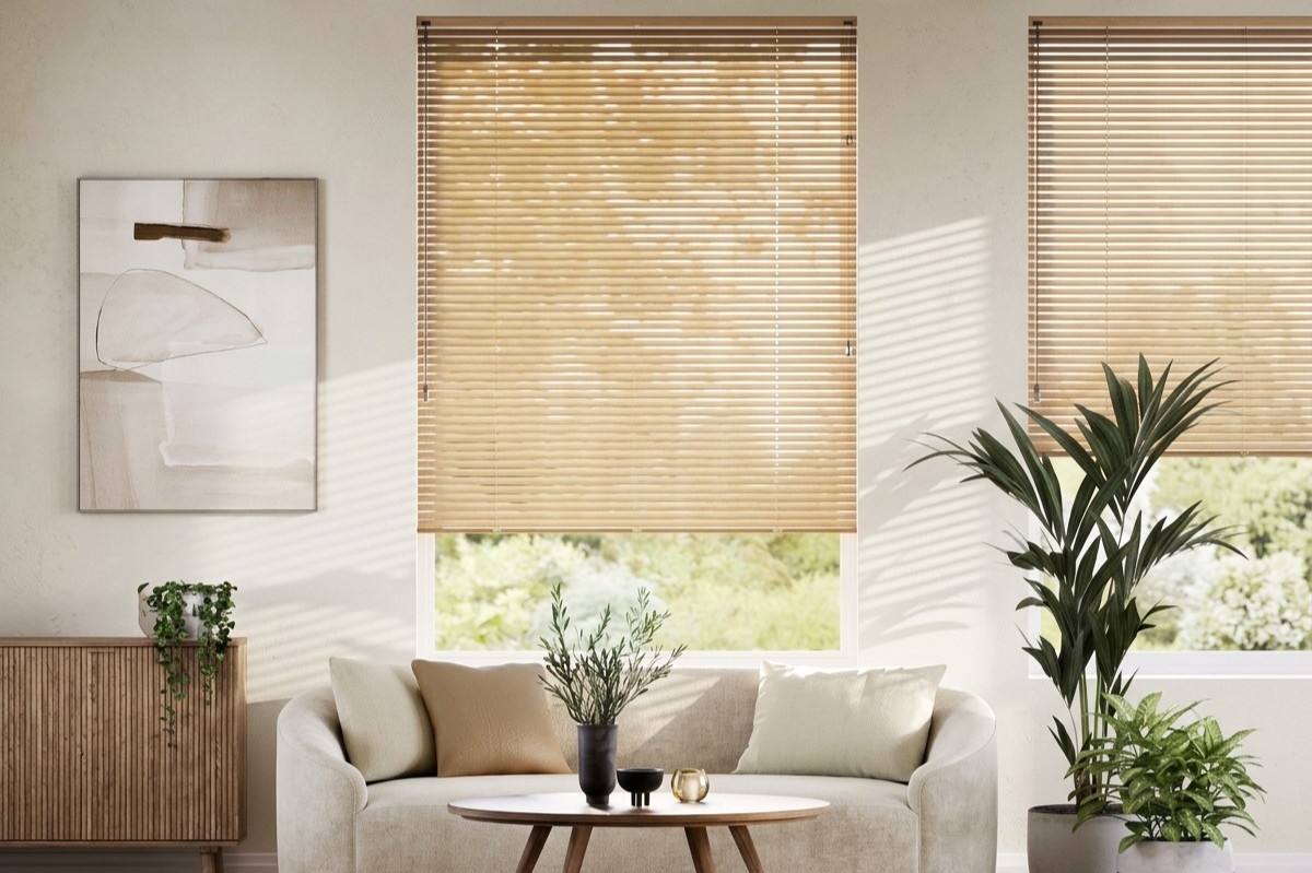 paulovnia-naujienlaiskiui2.jpg (xl, 1200x799)